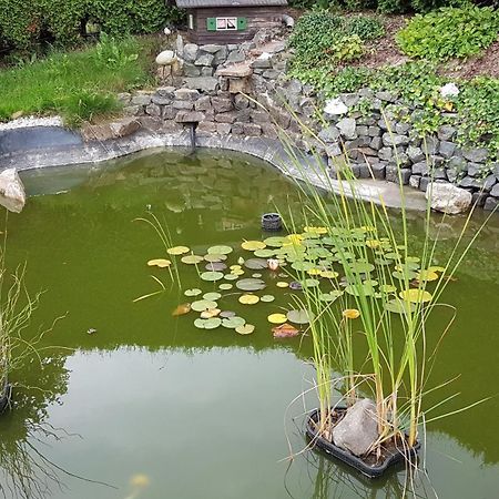 Appartamento Waldhufenidyll Koenigswalde Im Erzgebirge Konigswalde Esterno foto