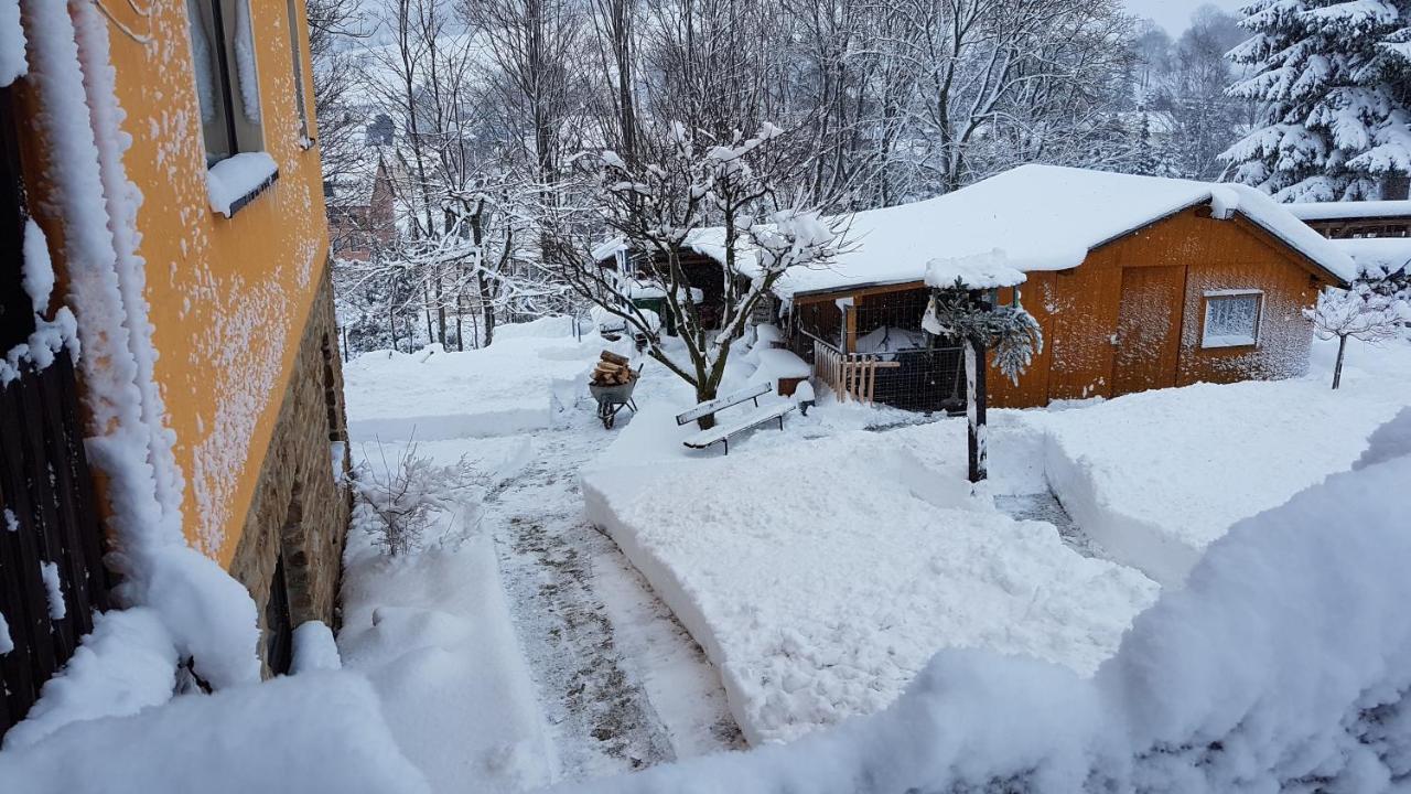 Appartamento Waldhufenidyll Koenigswalde Im Erzgebirge Konigswalde Esterno foto