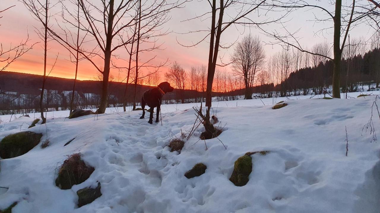 Appartamento Waldhufenidyll Koenigswalde Im Erzgebirge Konigswalde Esterno foto