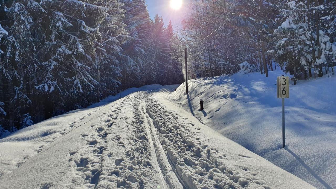 Appartamento Waldhufenidyll Koenigswalde Im Erzgebirge Konigswalde Esterno foto